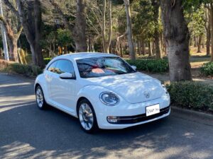 Volkswagen The Beetle Desigh